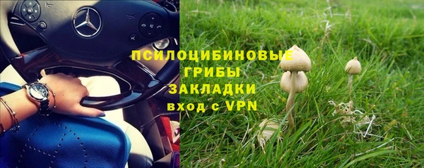бошки Алексин