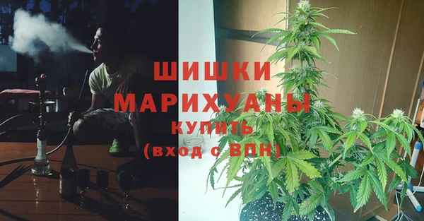 бошки Алексин