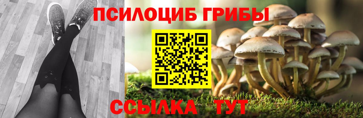 Псилоцибиновые грибы GOLDEN TEACHER Балашов