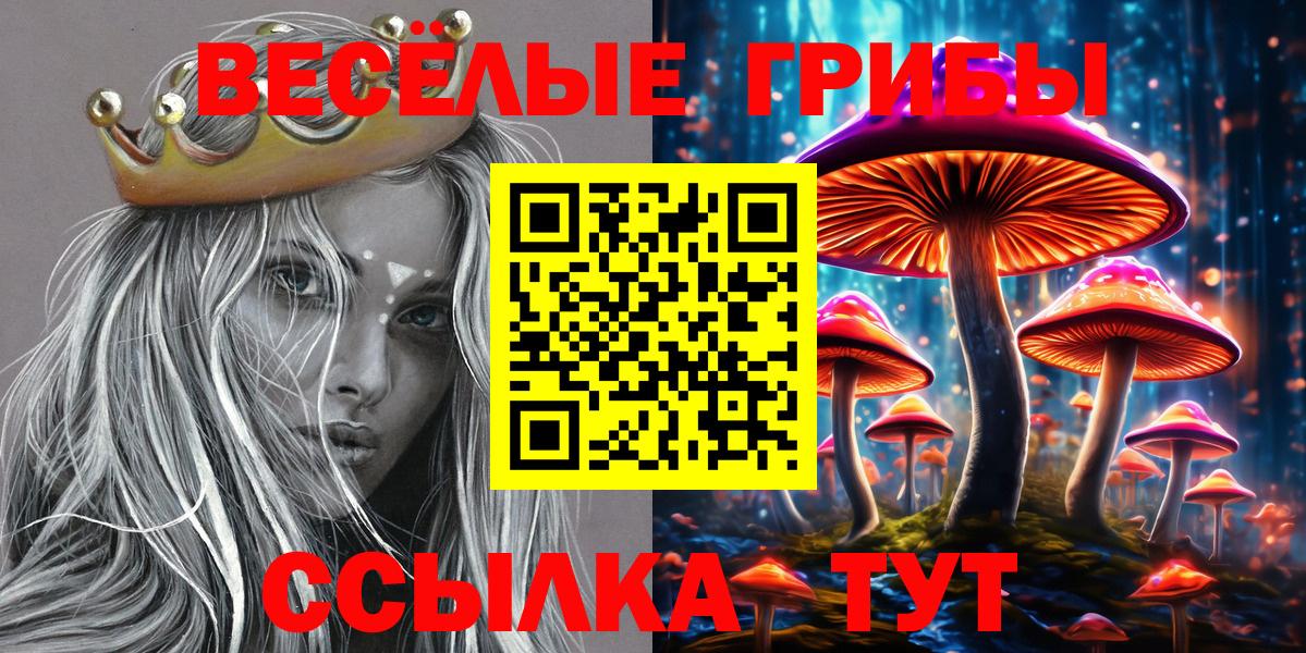 Галлюциногенные грибы ЛСД  Вход с VPN  Балашов 