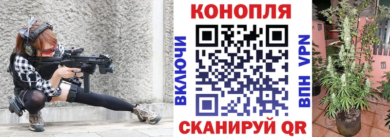 Канабис планчик  мега рабочий сайт  Балашов 